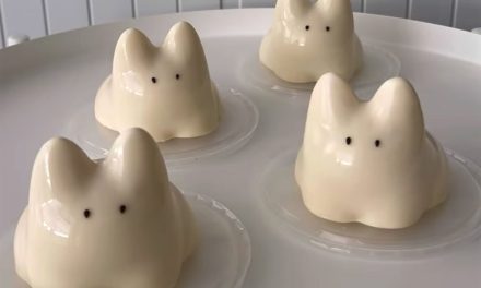 Puding Goyang Transparan: Tren Dessert Estetik Asal Asia Timur
