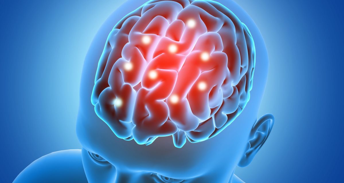 Studi Genetika Ungkap Fleksibilitas Biologis Otak Manusia