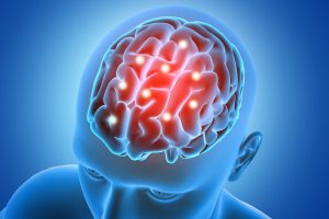 Studi Genetika Ungkap Fleksibilitas Biologis Otak Manusia
